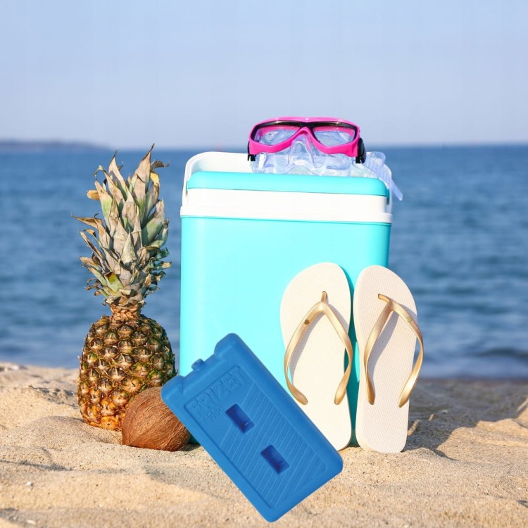 Wkład do lodówki turystycznej Frizet T200 żelowy 200 ml